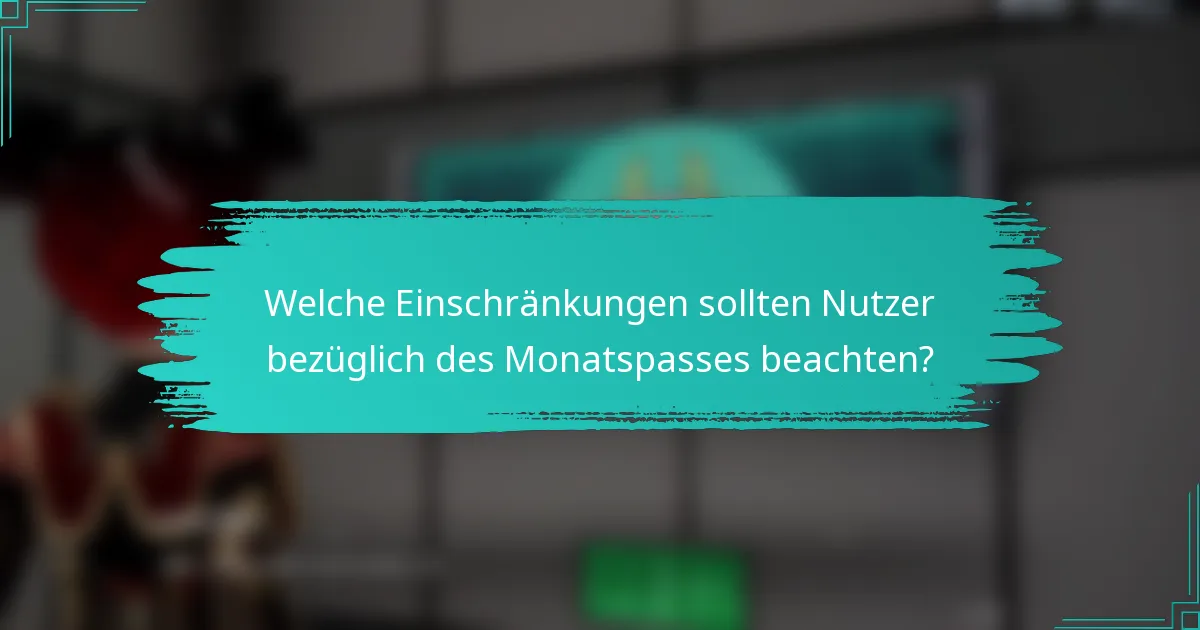 Welche Einschränkungen sollten Nutzer bezüglich des Monatspasses beachten?